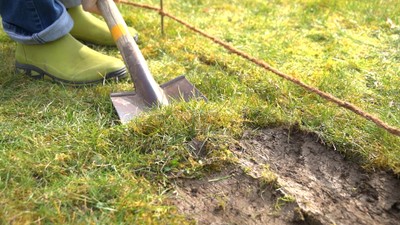 wildgaertnerfreude aussaat rasen abstechen