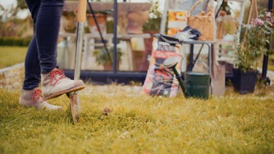 diy projekt rosen Pflanzen