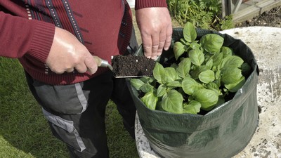 DIY Projekt Kartoffeln im Sack