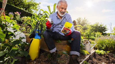 Ein Mann liest sich die Anwendungshinweise von Fungisan Rosen und Gemüse-Pilzfrei durch