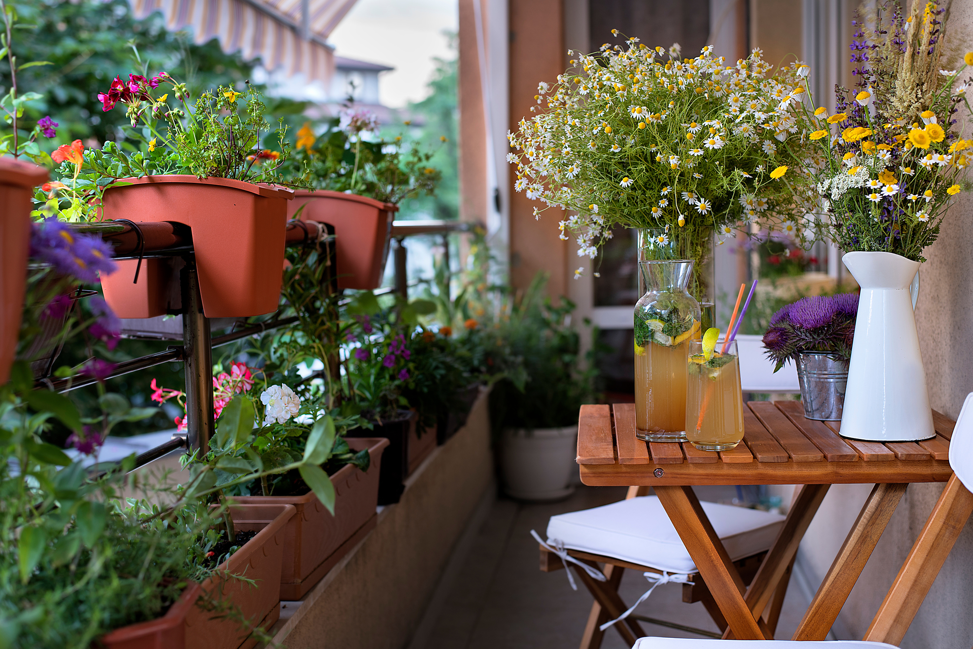 lechuza blumenkasten aufhängung Erganzung für Lechuza Balkonkasten Halterung – Balconyliving.de main image 0