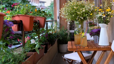 Balkonblumen auf einem Balkon