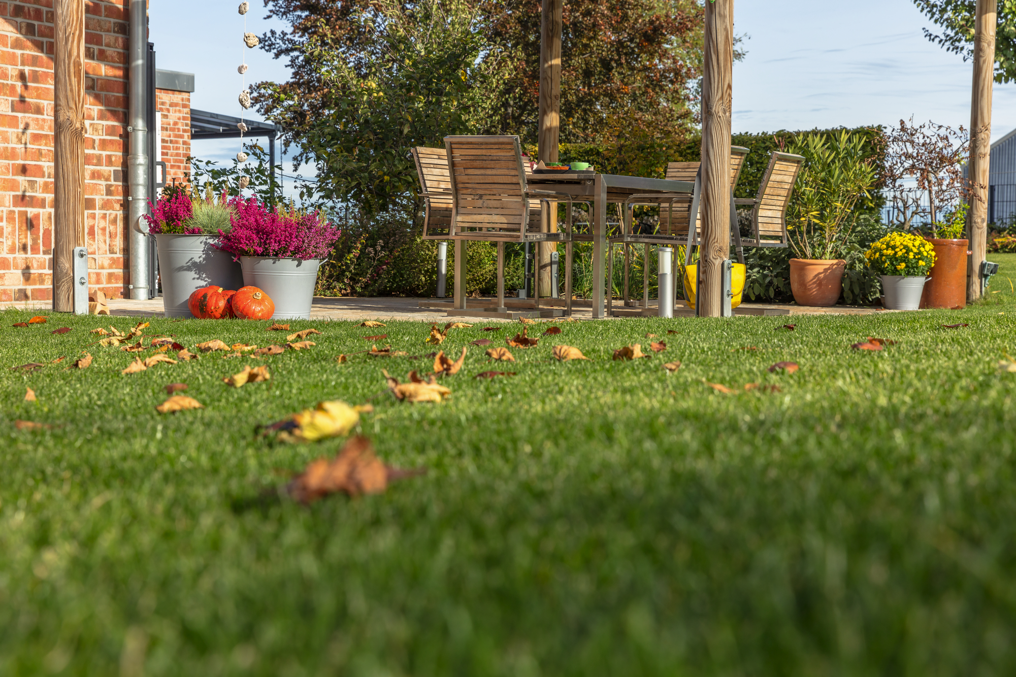 Rasen dngen im Herbst: Tipps fr winterfesten Rasen