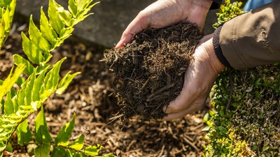 Mulchkompost ausbringen
