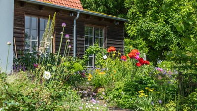 Naturgarten