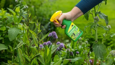 Neudosan Blattlausfrei wird auf eine Pflanze gesprüht