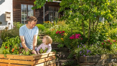 Mann und Kind gärtnern an einem Hochbeet, umgeben von bunten Blumen in einem sonnigen Garten.