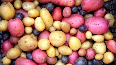 Kartoffeln