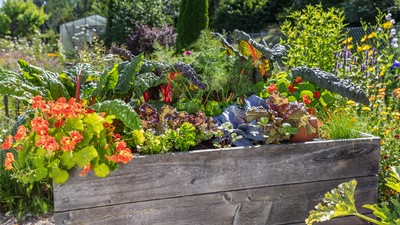 Hochbeet im Garten mit bunten Blumen und Gemüsepflanzen, umgeben von üppigem Grün.