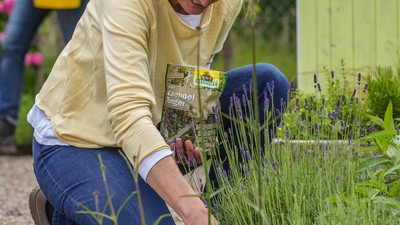 Mutter und Tochter im Garten mit Lavendelduenger