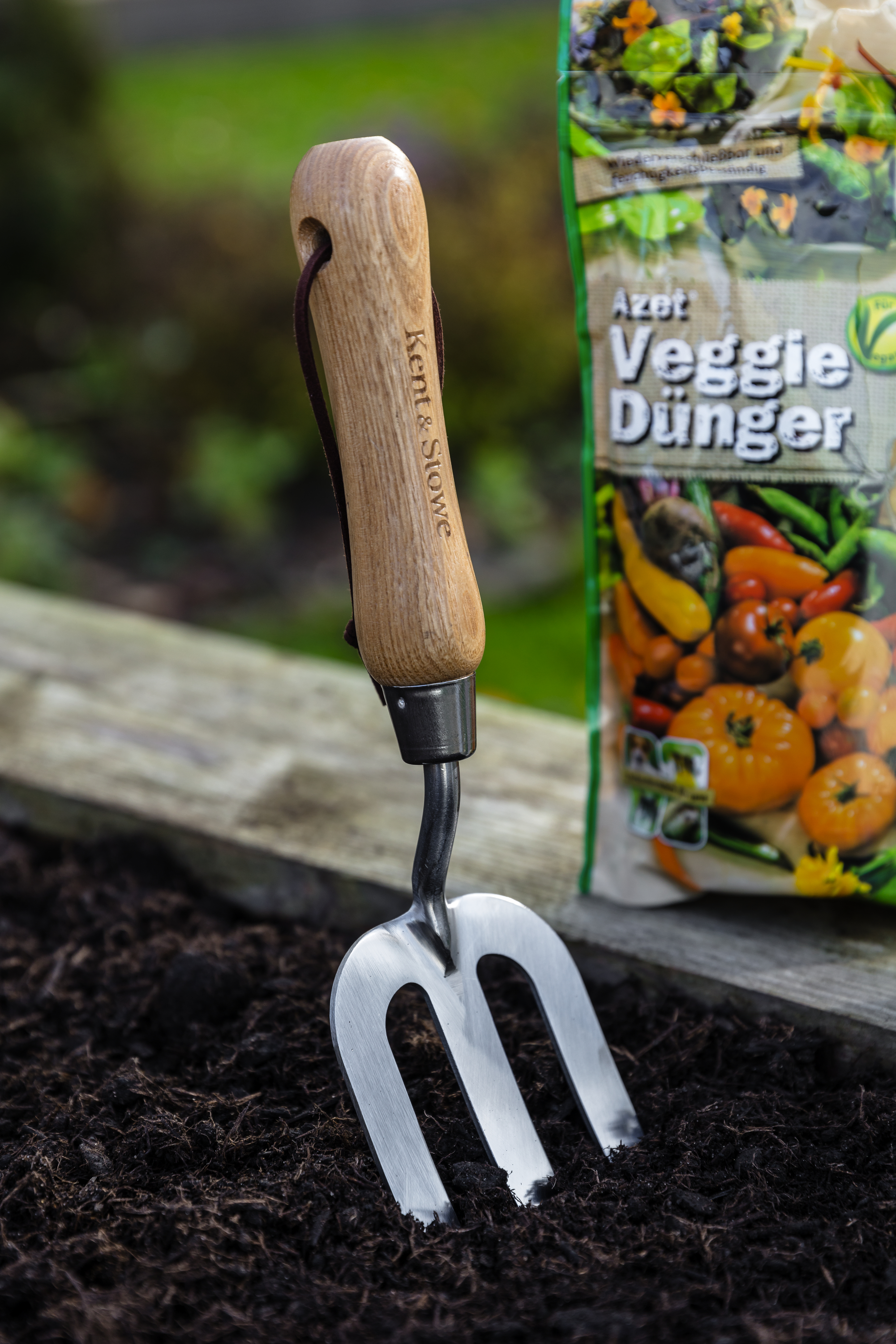 Chili anpflanzen (Capsicum annuum)