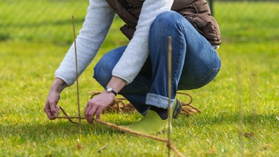 Frau im Garten wildgaertner Aussaat Rasen