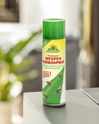 Das Permanent WespenTURBOSpray steht auf einem grauen Untergrund, im Hintergrund erkennt man eine Zimmerpflanze.