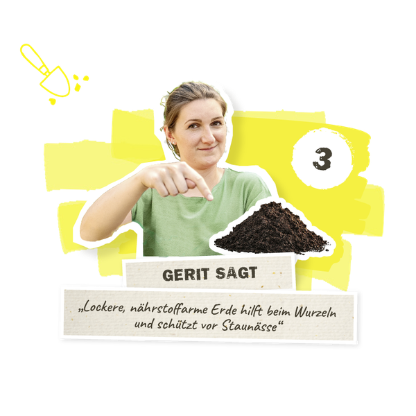 Lockere Erde