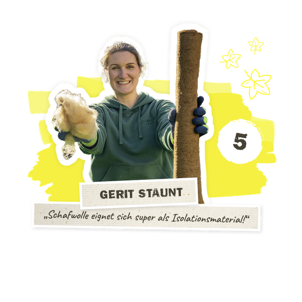 Schafwolle als isolationsmaterial