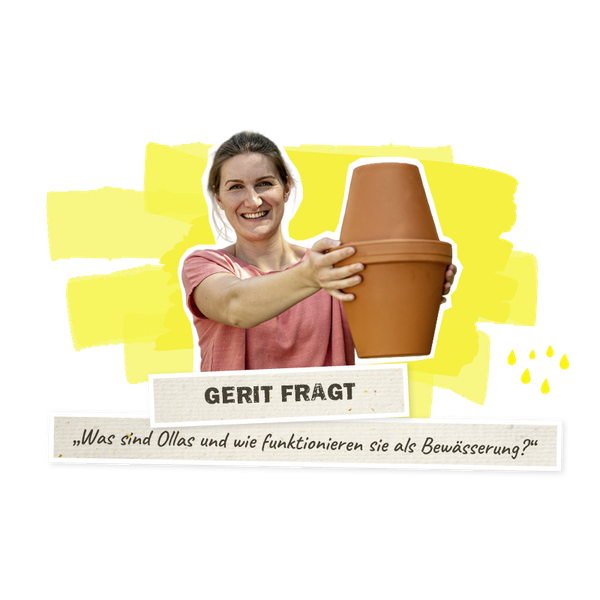 Wie funktionieren Ollas