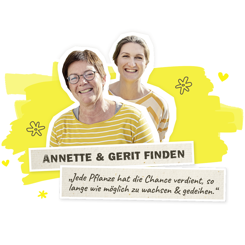 pflanzen saatgut Bio-Saatgut Abobox 'Gartengemse'