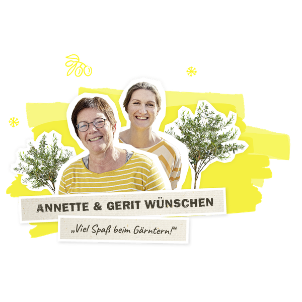 Olivenbaum - viel Spass