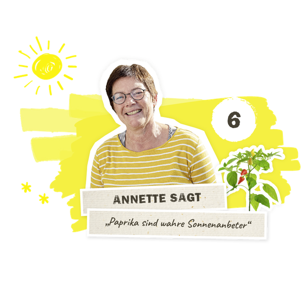 paprika sind Sonnenanbeter