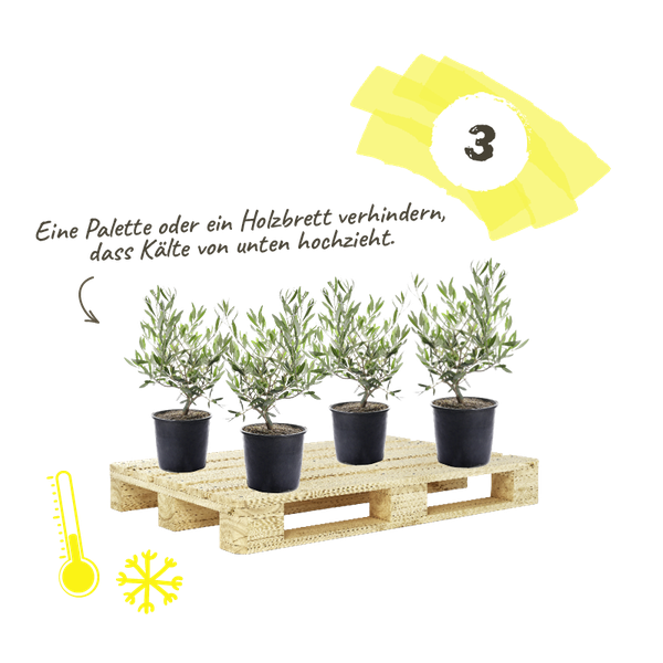 Palette verhindert Kälte von unten