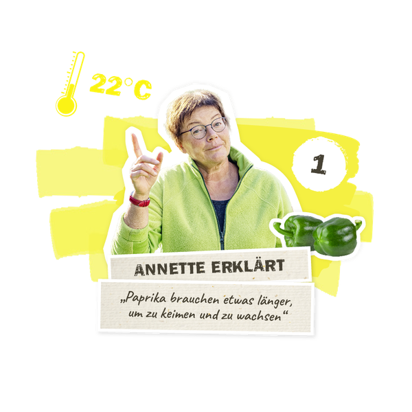 paprika braucht länger