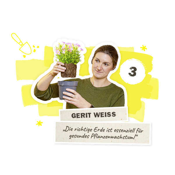 die richtige Erde