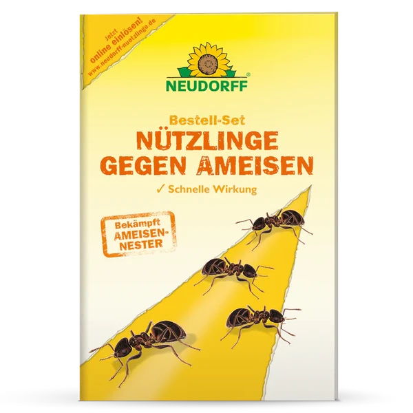 Ameisen bekmpfen