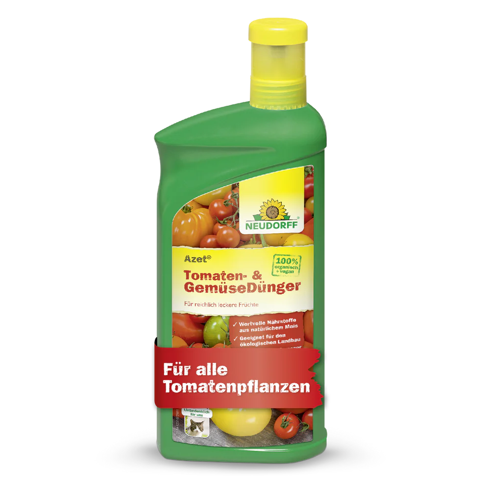 Tomaten im Topf pflanzen