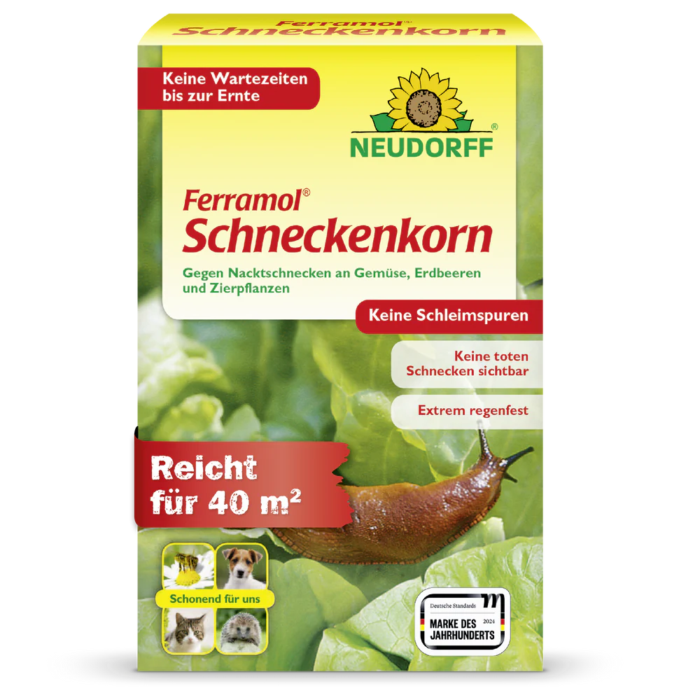ableger monstera kaufen Stecklinge Monstera Deliciosa variegata (nicht bewurzelt) – Secret Garden  Plant Shop main image 0