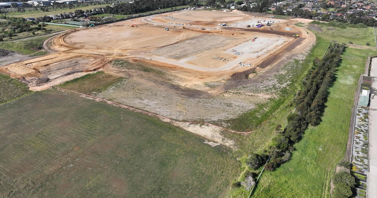 Hawthorn Football Club Early Works Symal