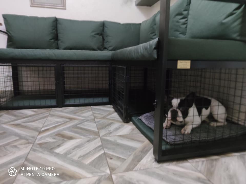 Doggy Sofa
