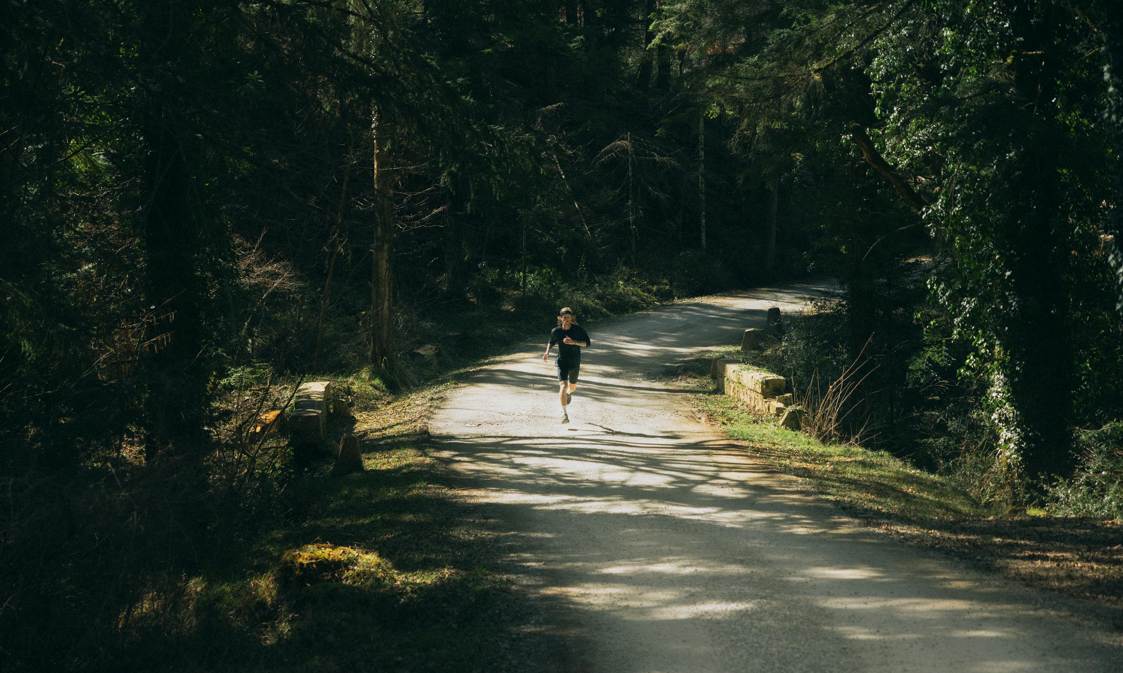 A person runs along a sunlit, winding forest path surrounded by dense trees and greenery.