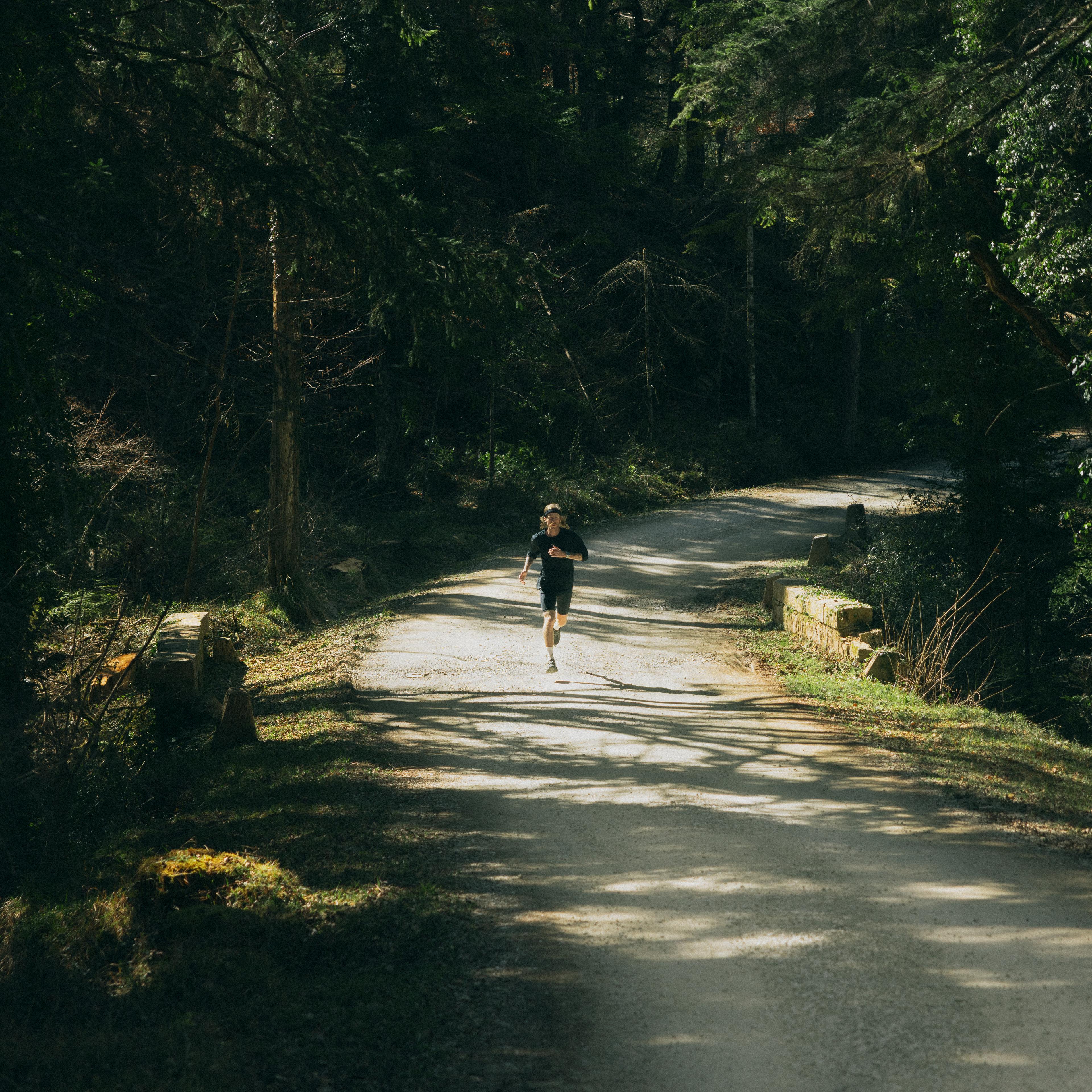 A person runs along a sunlit, winding forest path surrounded by dense trees and greenery.