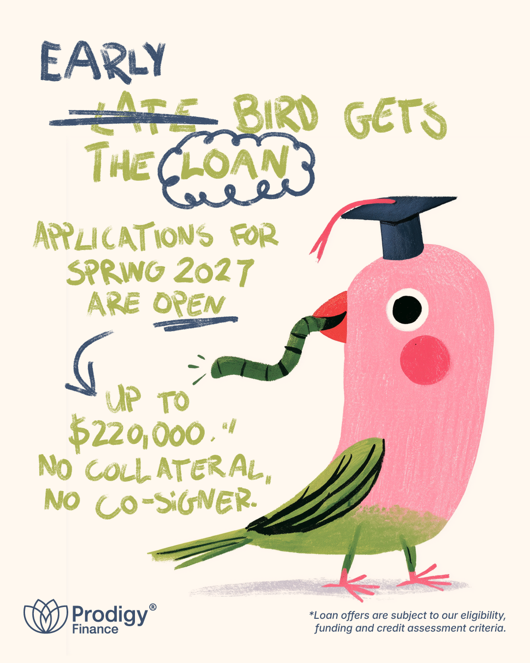 Spring Hero - Bird