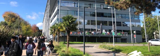 Spotlight on Rennes School of Business