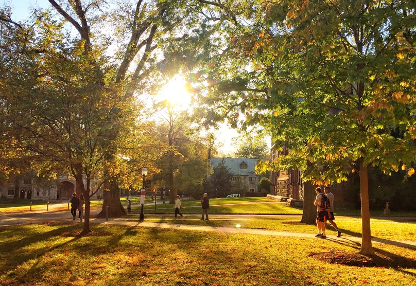 The Golden Hour