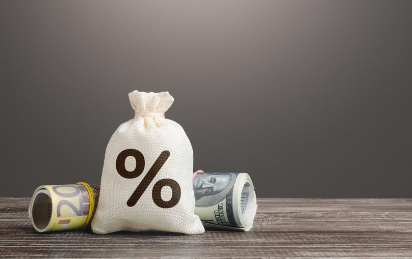 Money Bag with Percent Symbol and Rolled Currency