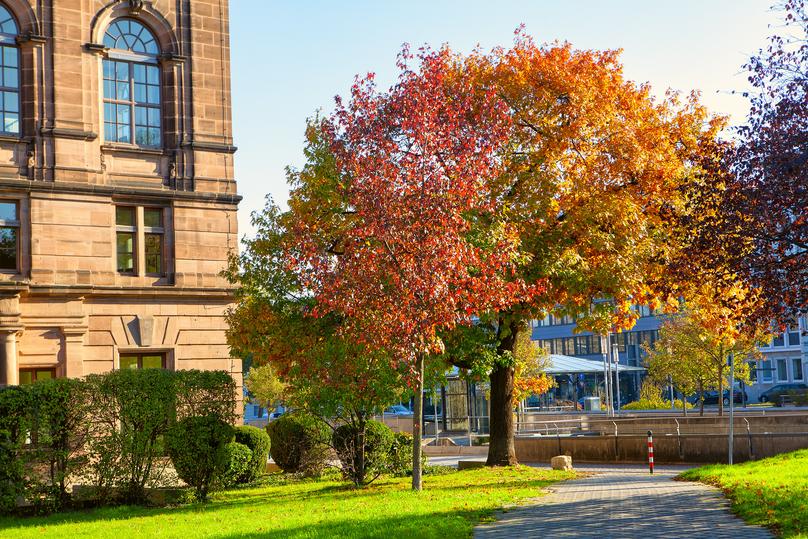 Multicolored Autumn In The City . Pathway In The Urban Park
