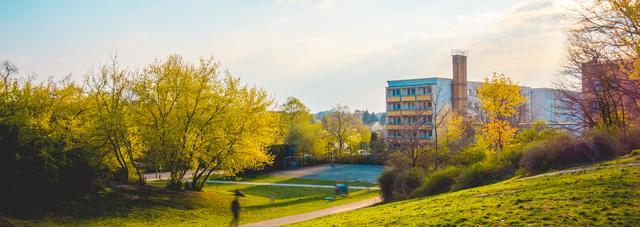 Prodigy Finance Fall 2026 University List: Does Your Dream School Qualify?