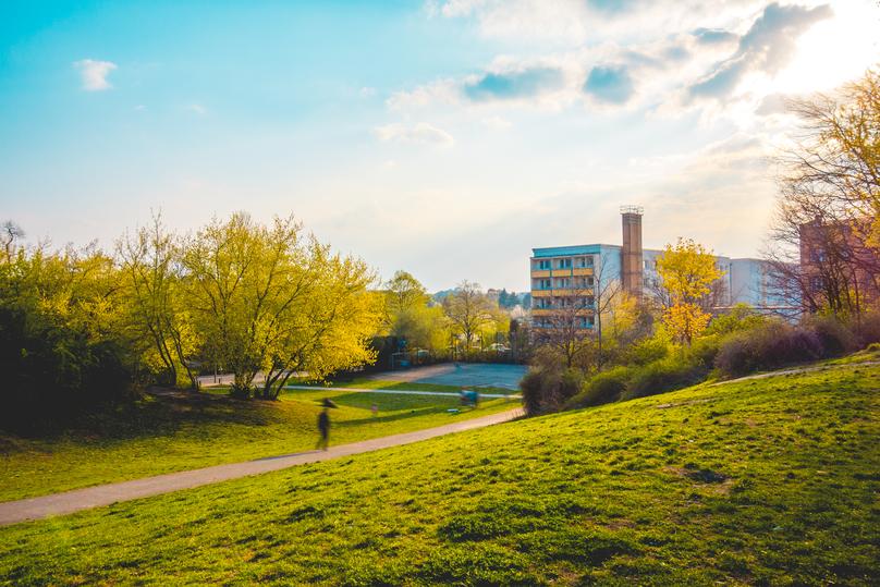 Typical Park In The Spring With Apartments
