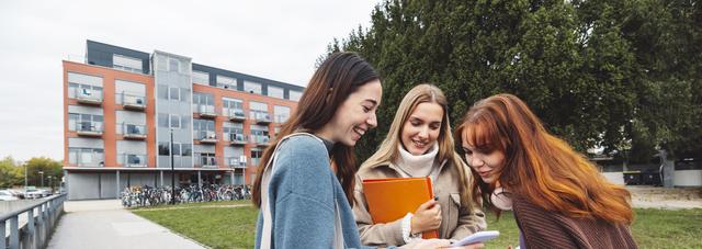 How to get a student loan in Germany: A step-by-step guide for international students