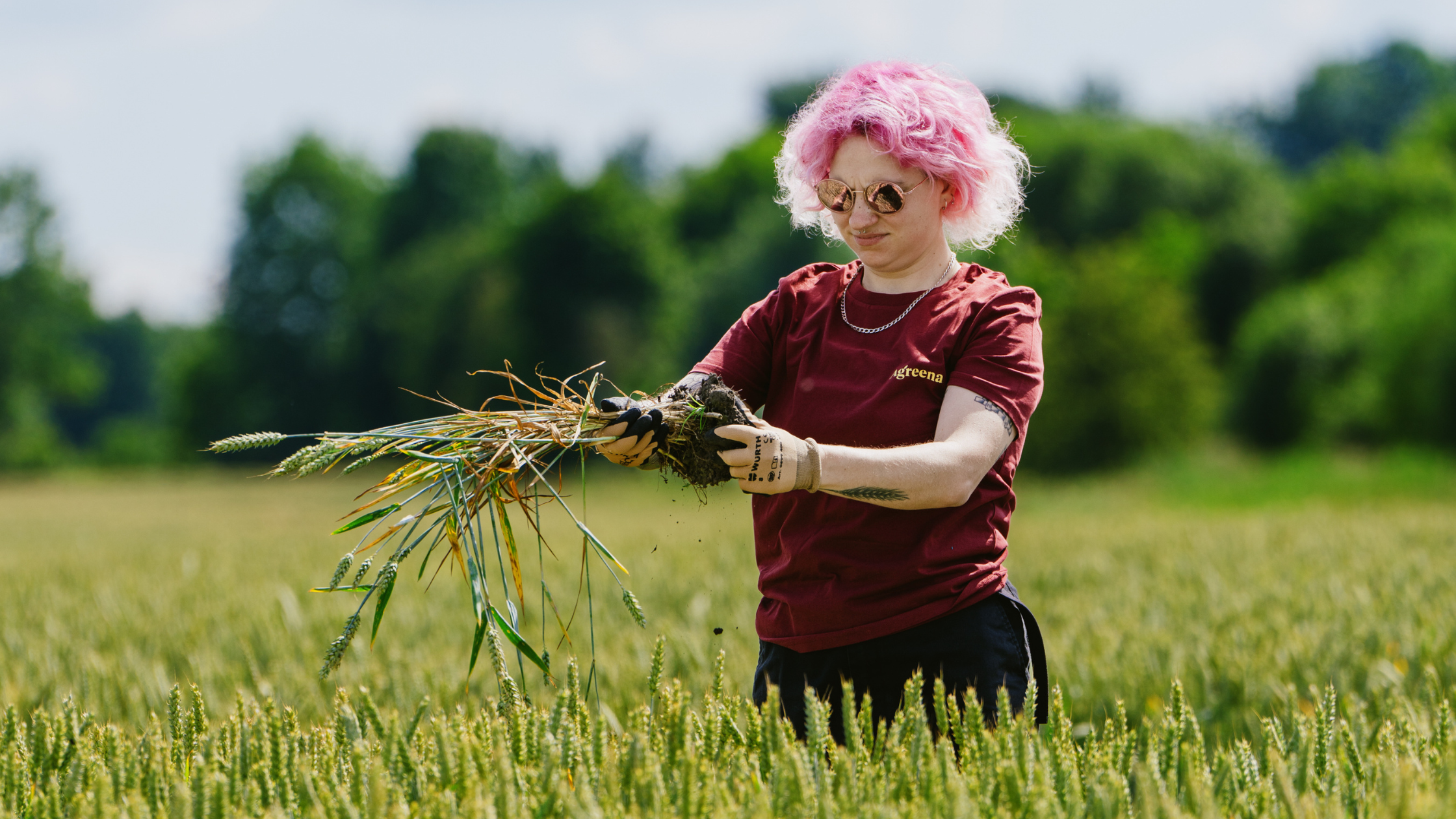 How the AgreenaCarbon programme works