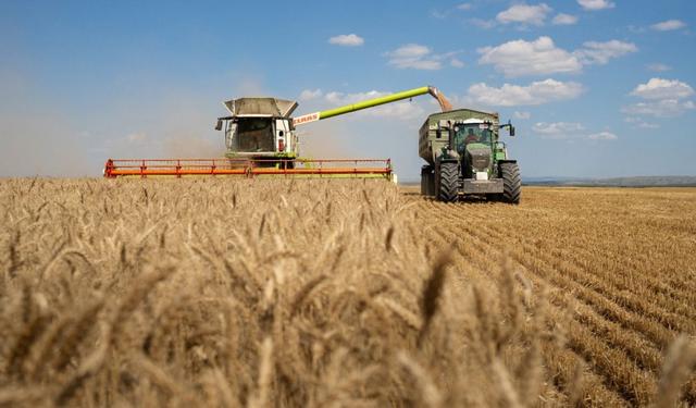 Combine harvesting a field on a sunny day