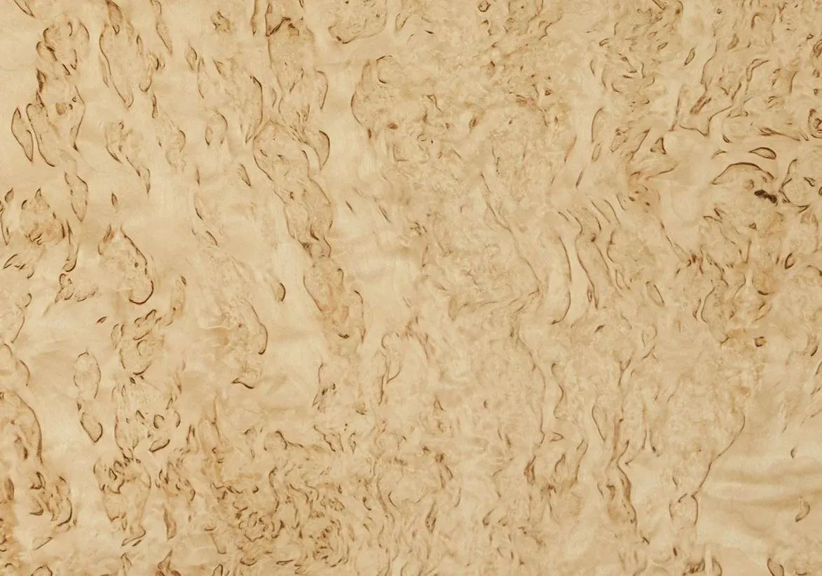 Карельская береза