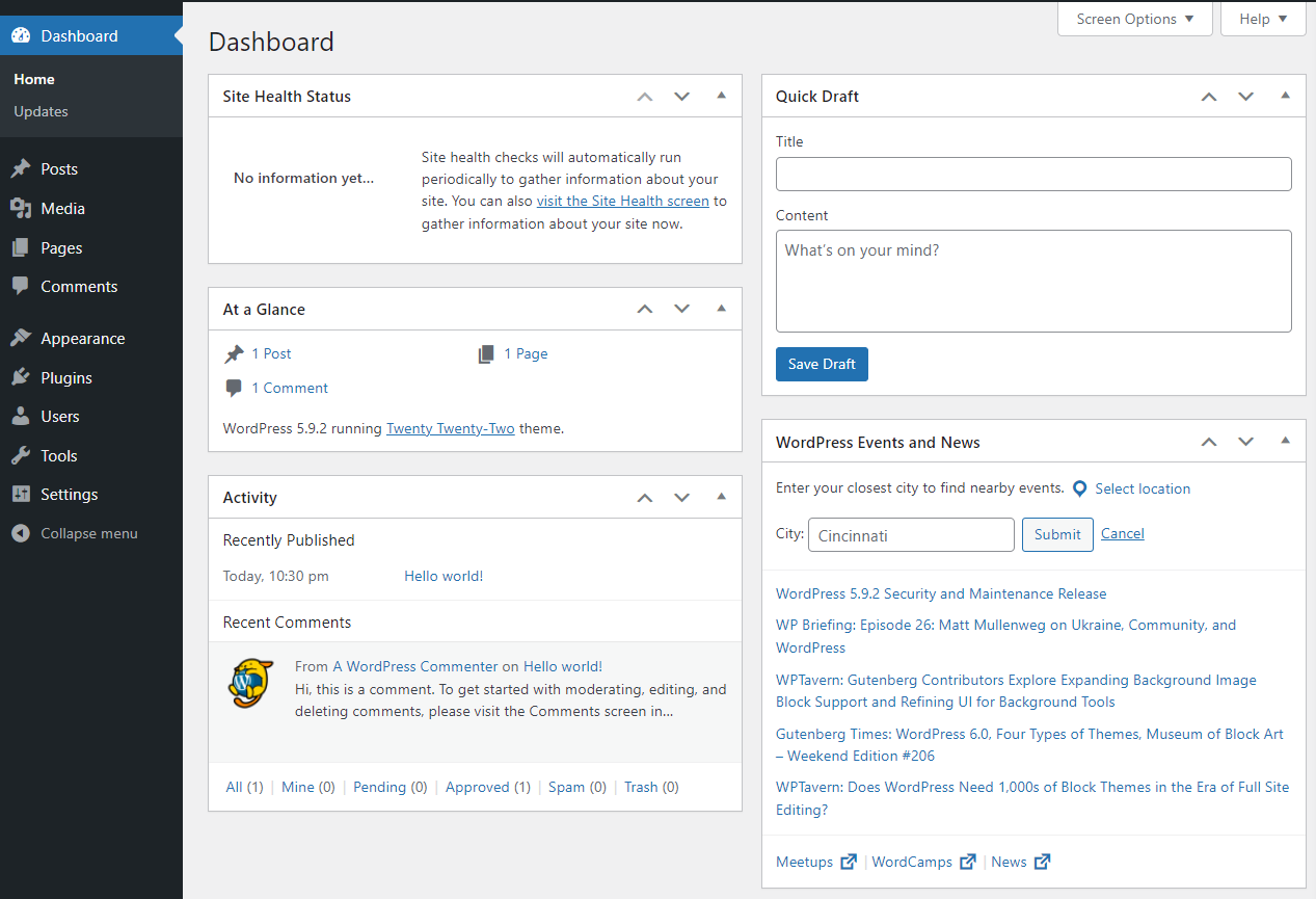 Esempio di una Dashboard Wordpress