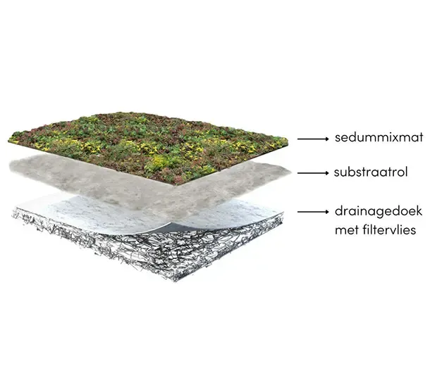 uitleg van het sedumdak systeem