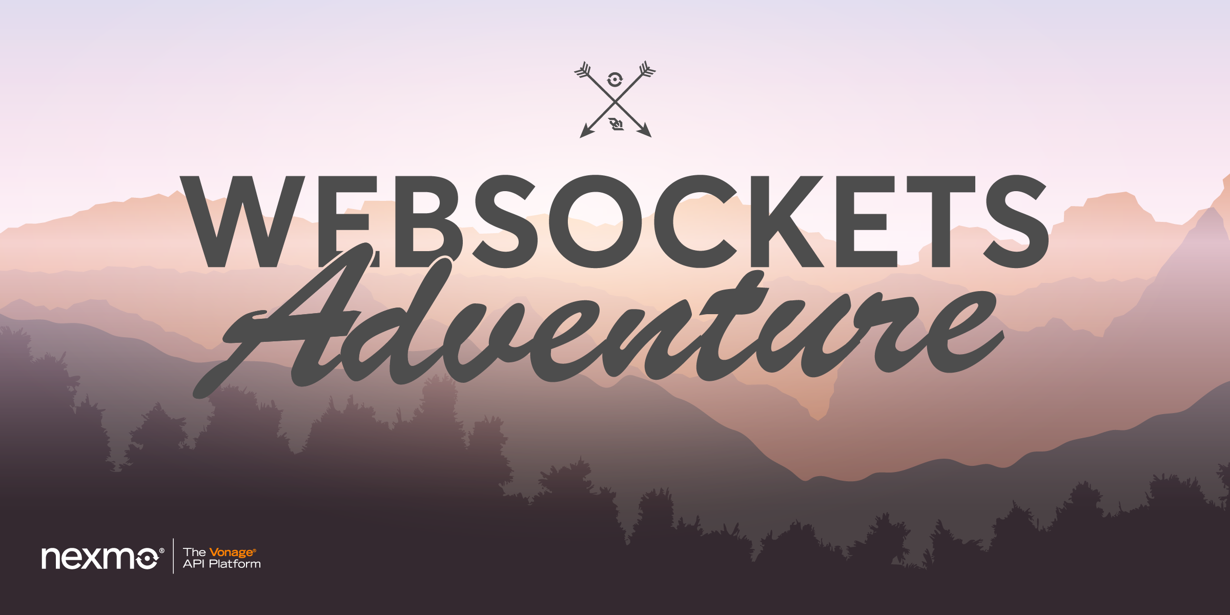 https://a.storyblok.com/f/270183/327782/2fe77461dd/websockets-adventure.png