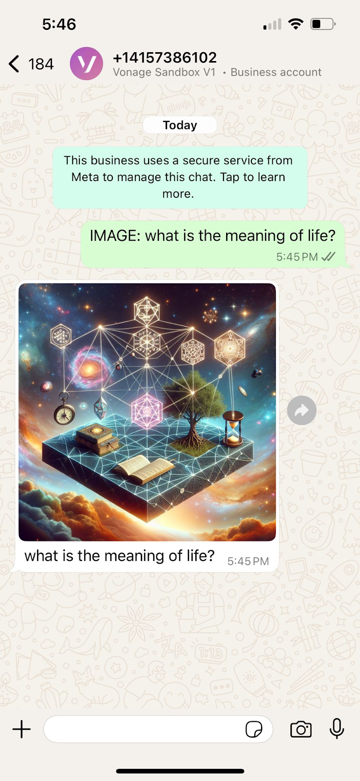 WhatsApp chat showing a user asking 'IMAGE: what is the meaning of life?' and receiving a colorful AI-generated image featuring abstract symbols, books, and a cosmic background.