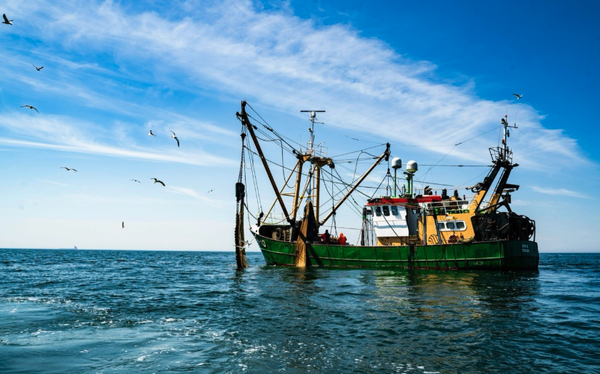 A green fishing boat on the ocean under a clear blue sky, surrounded by seagulls.