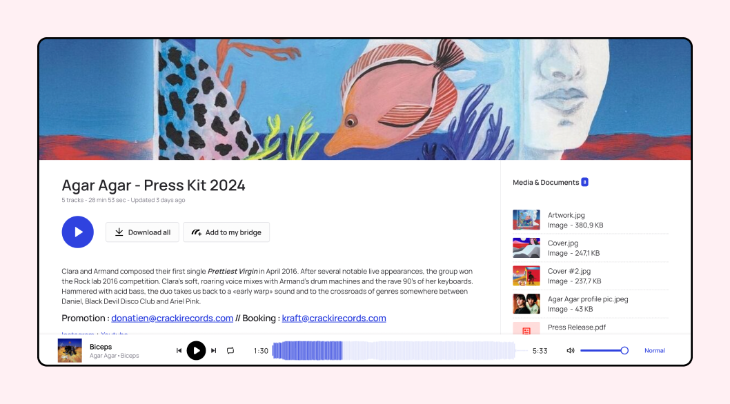bridge.audio press kit example - collaboration with Vochlea Music